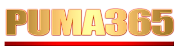 Logo Puma365